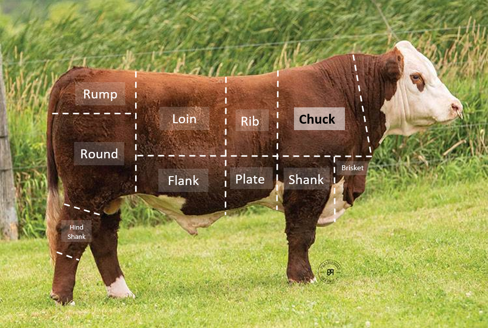 Chuck