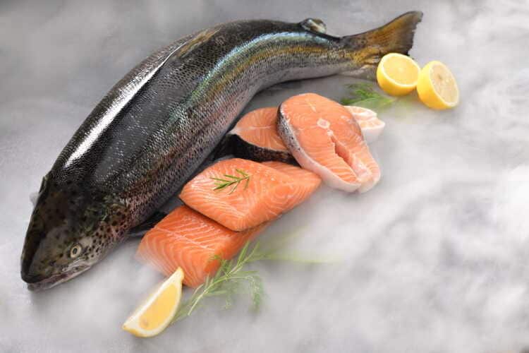 seafood-fish-g753flu_optimized